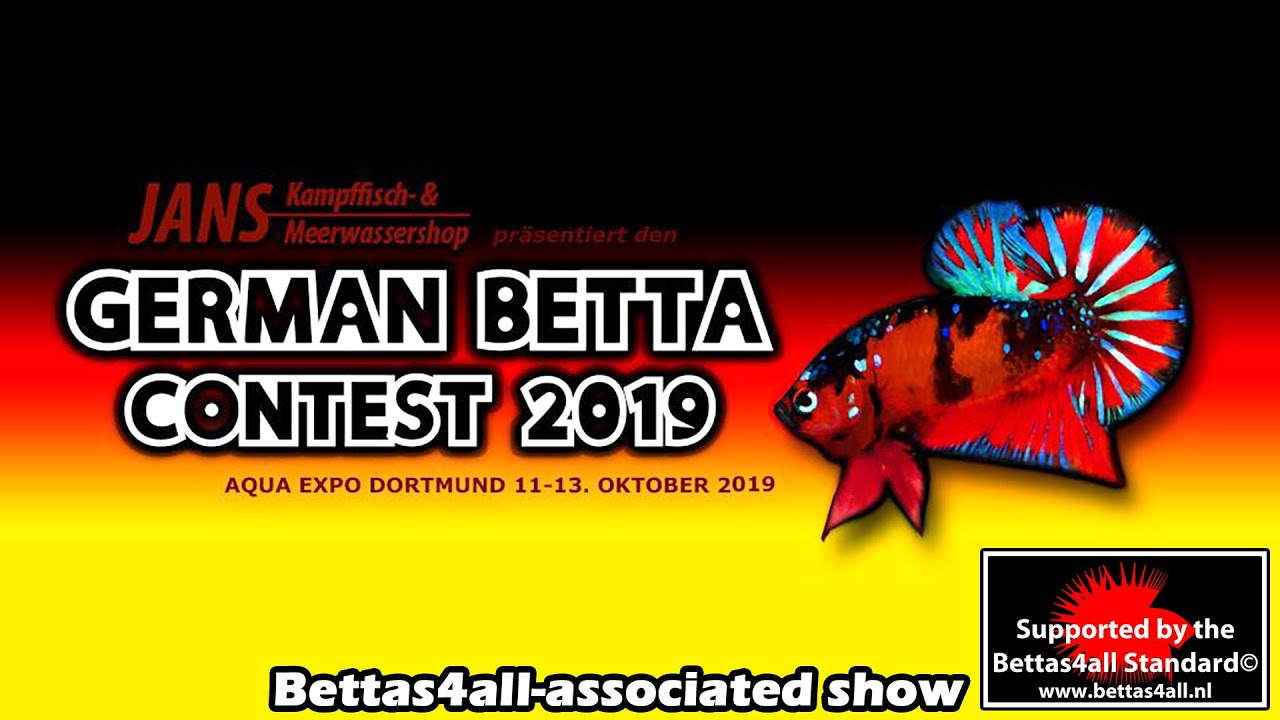 German Betta Contest 2019
