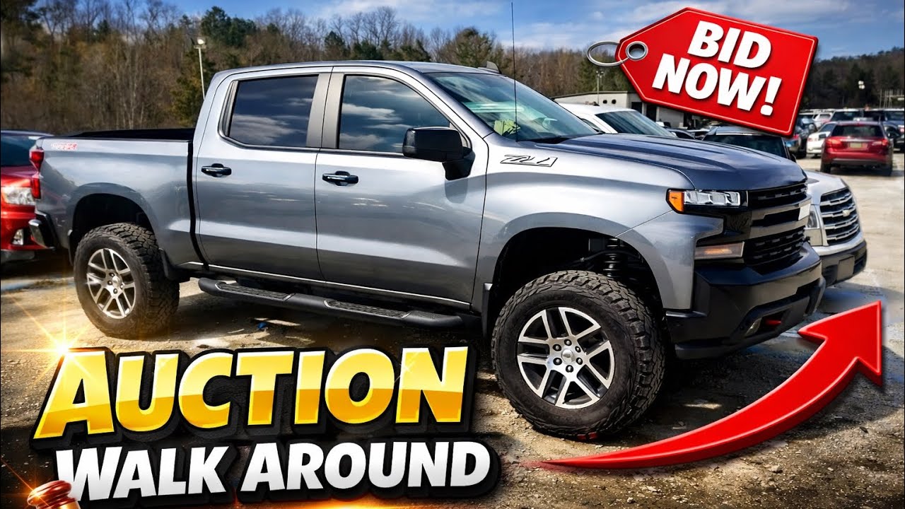 Dealer auction walk around | Ep 5