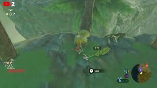 Playing Zelda Breath Of The Wild