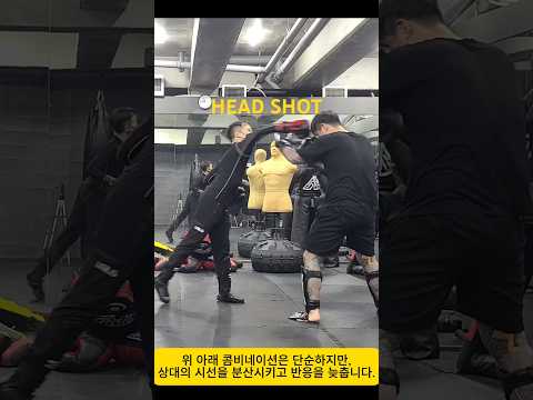 킥복싱 기본 트릭 펀치 킥 콤비네이션 Basic Kickboxing Trick High Low Combo