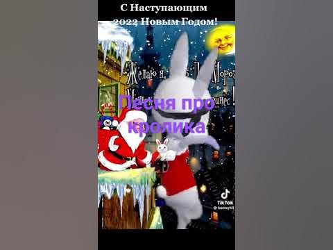кролик крутой - YouTube