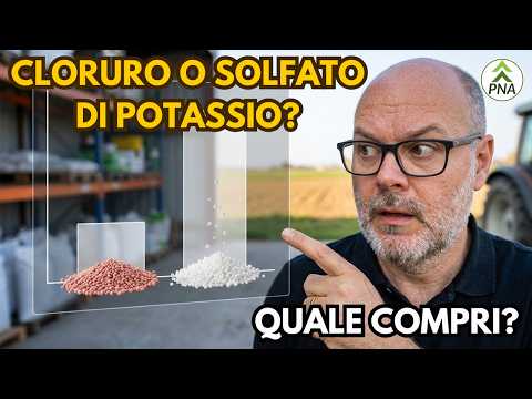 Video Cloruro o solfato di potassio? La scelta che può costarti il raccolto