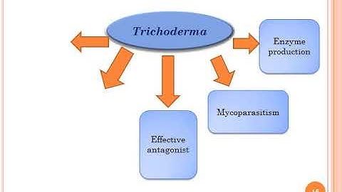 Mode of Action of Trichoderma spp by Prof. Tushar Ugale,Assistant Professor