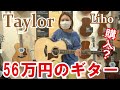 【Taylor Guitar】56万円のギターでライブ【テイラー ギター / 814ce】