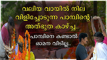 വലിയ വായിലെ നില വിളിച്ചോടുന്ന പാമ്പിന്റെ അത്ഭുതക്കാഴ്ച