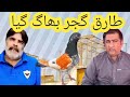 Ustad haider ali joya of lahore ki chat se pigeons