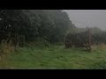 Rainy Day in the English Countryside | Rain Sounds & Distant Thunder for Reading, Study or Sleep