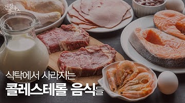 콜레스테롤의 오해와 진실 [건강플러스]