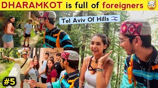 Inside the israeli🇮🇱 Village of Himalayas (Dharamkot Mcleodganj , Himachal Pradesh)