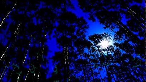 تلاوه لم اجد لها تعليق | انس الغامدي