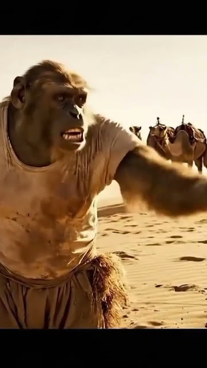 جعلی ایجنٹ تجھے اونٹ 🐪 کی ٹانگ کے ساتھ باندھ دو گا | #animalcomedy #monkeychallenge #funnyclips