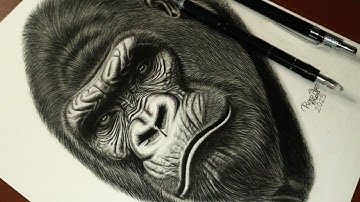 How to Draw a Realistic Gorilla Face Easily | Simple Techniques to Shade a Gorilla Face & Hair