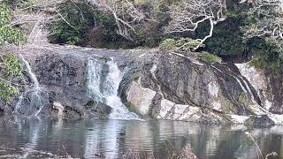 【泉川滝　ぜんぜんたき】高さ５ｍから流れ落ちる滝の音　The sound of a waterfall falling from a height of 5m