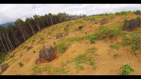 Kỹ thuật tưới sầu riêng đất đồi dốc với béc BÙ ÁP Bs5000pro 0335785795 - 0938868617