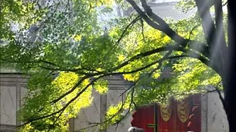 Phẩm 13_28 - Trì _ Diệu Pháp Liên Hoa K.