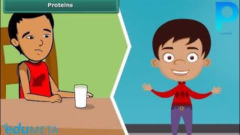 Class 6th SCIENCE Components of Food