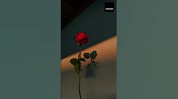 ألسنا أحق بقلب سعيد 