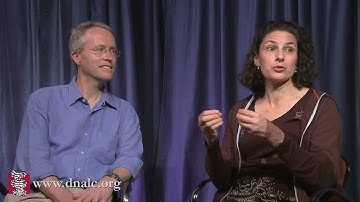 Evolution of Complexity - Building Blocks for Complex Brains