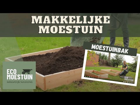 Makkelijke moestuin beginnen met moestuinbak