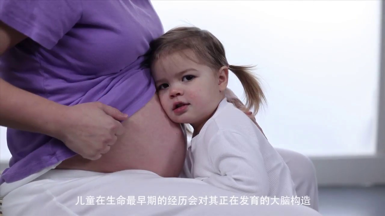 developmental Experiences Build Brain Architecture (Mandarin subtitles)