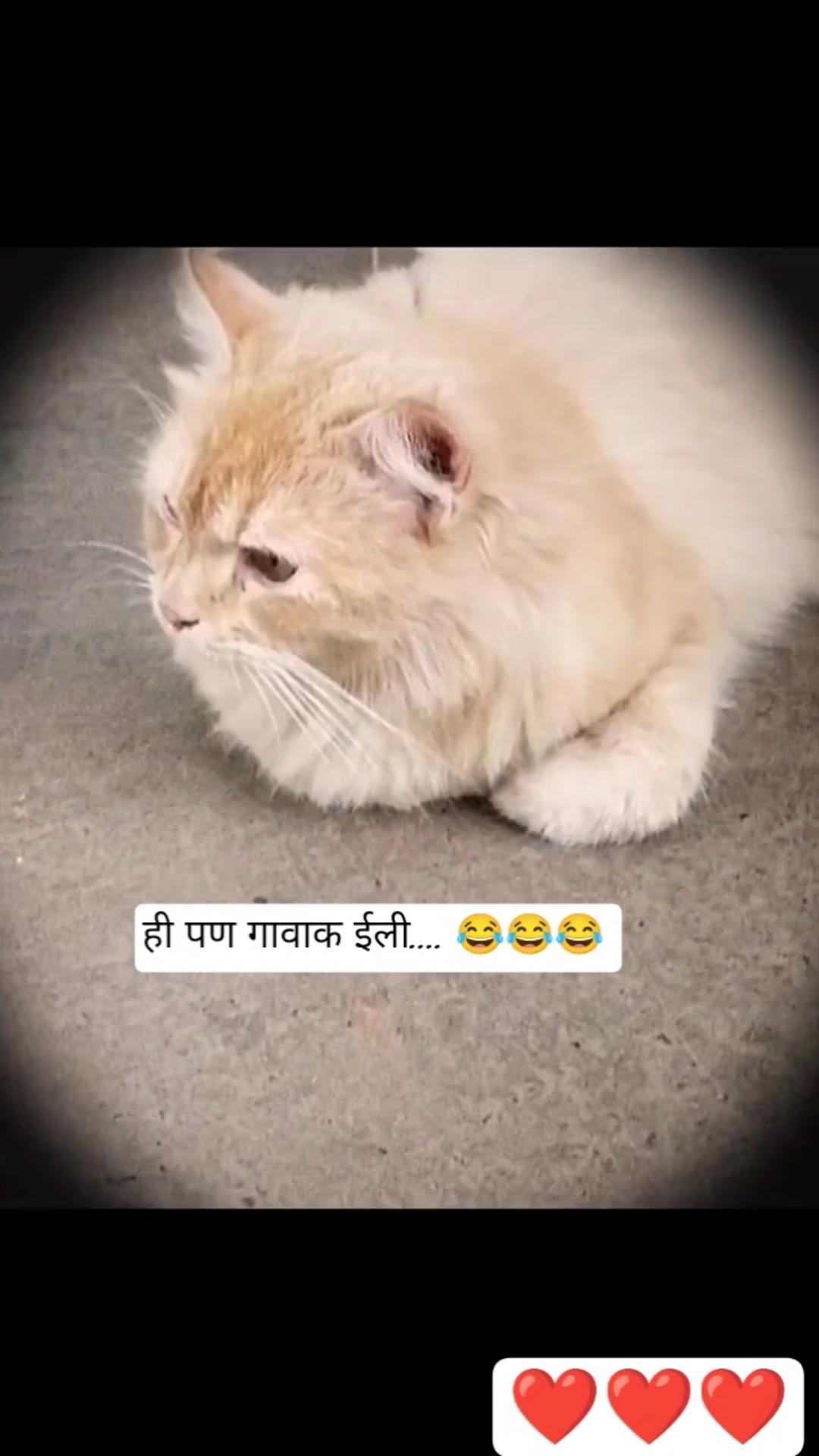💔 हार्ट ब्रेक स्टेटस - ShareChat