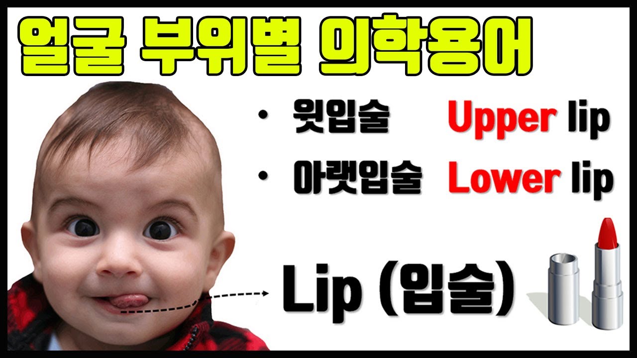  Facial Laceration YouTube