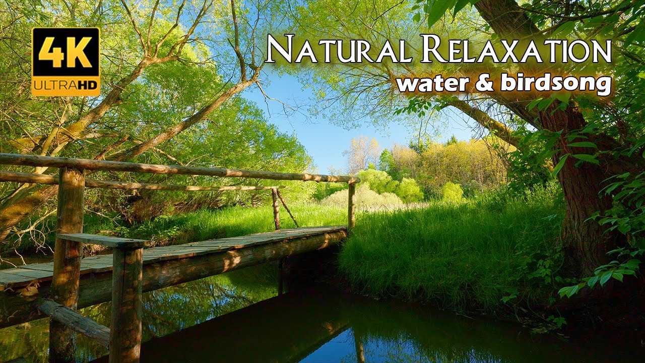 4K 📺 Естественное расслабление 🌿Вода и пение птиц 🌞 Положительная целебная энергия