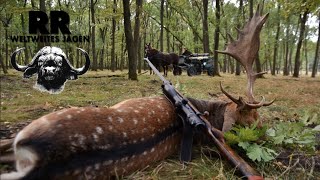 Hunting Adventure Hungary Part 2 Fallow stag | Damhirschjagd in Ungarn | RR Weltweites Jagen