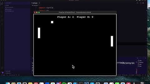 DEMO: Python Retro Pong Game