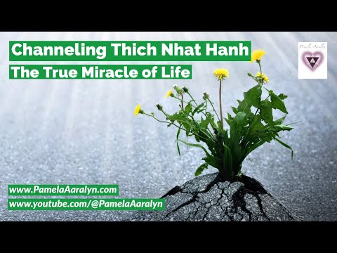 Channeling Thich Nhat Hanh- The True Miracle of Life (This is What YOU Need to Hear Right Now)