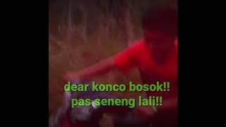 Story wa KONCO BOSOK bocah deso
