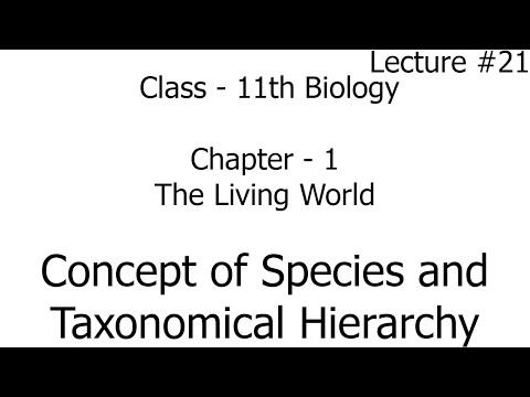 Video concept of species and taxonomical hierarchy | the... - youtube