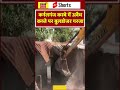 Bulldozer Action: कर्नलगंज कस्बे में अवैध कब्जे पर बुलडोजर गरजा | #shorts #viral