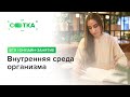 «ВНУТРЕННЯЯ СРЕДА ОРГАНИЗМА» | ЕГЭ БИОЛОГИЯ 2019 | Онлайн-школа СОТКА