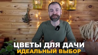 :    .       .