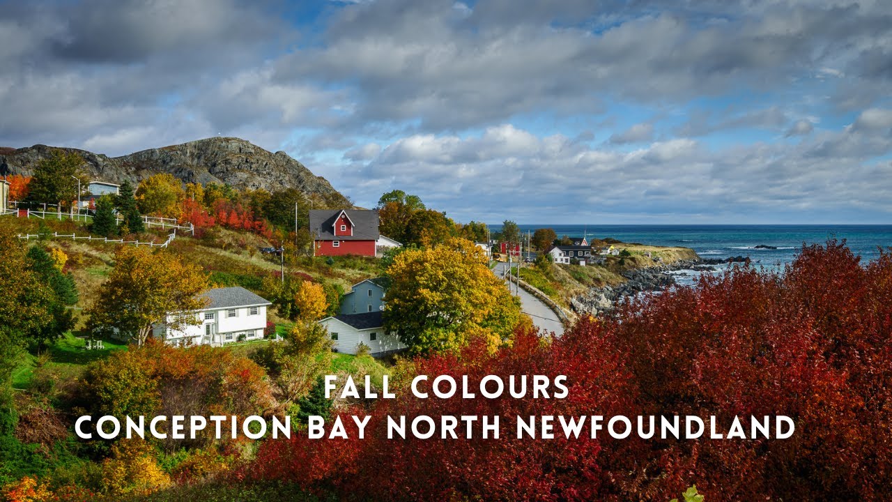 Discovering Newfoundland Searching for Autumn Colours Conception Bay Discovering Newfoundland Searching for Autumn Colours Conception Bay