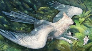 Griffin Family • Krita Speedpaint by Noctualis 1,838 views 4 years ago 7 minutes, 4 seconds