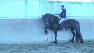 Equitazione Classica Francesco Vedani - Insegnare il passo spagnolo II parte