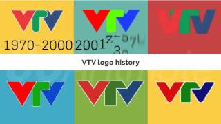 VTV logo history