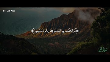 تلاوة مميزة |سورة الزمر |الشيخ طراد النمري |tf islam