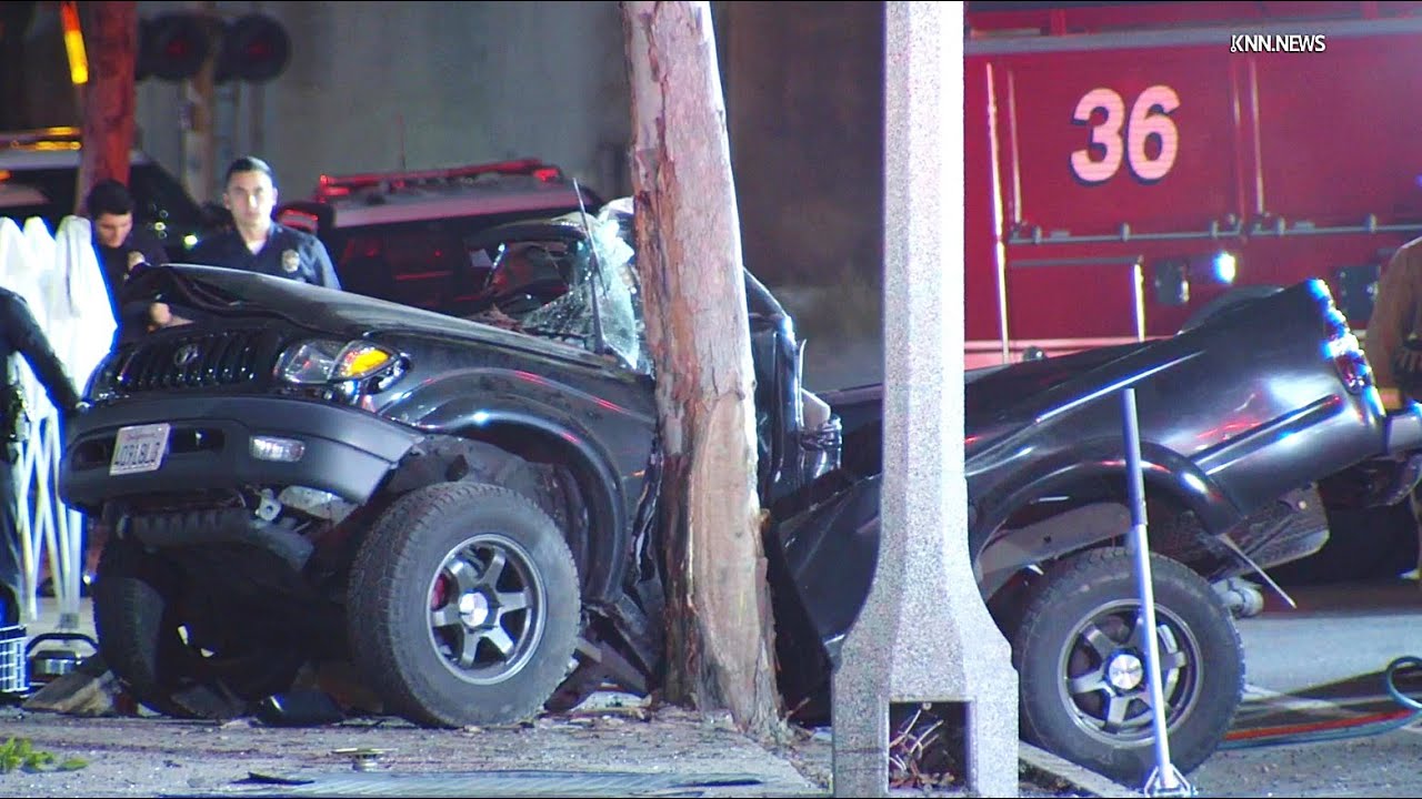 Driver Trapped, Fatally Injured After Crashing Into Tree in Wilmington ...