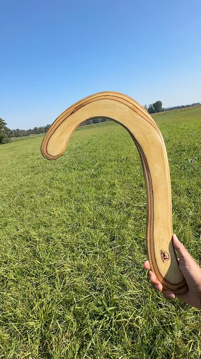 One beast of a boomerang! 😅