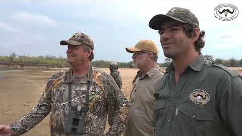 Ultimate Luangwa Valley Safari Hunt:lion, crocodile,hippo,cookson's wildebeest and buffalo