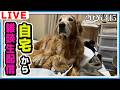 自宅から雑談ライブ！