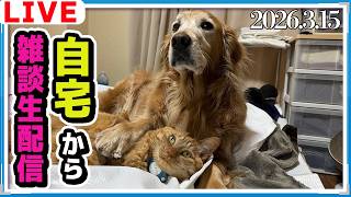 自宅から雑談ライブ!