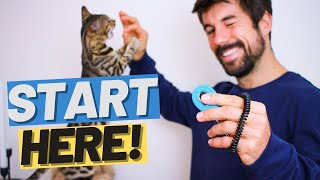 How to Clicker Train a Kitten  Start Clicker Training for Beginners