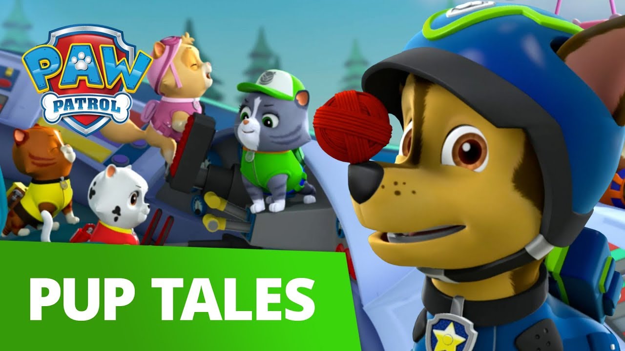 PAW Patrol | Pups Save The Paw Patroller | Rescue Episode | PAW Patrol Official & Friends!