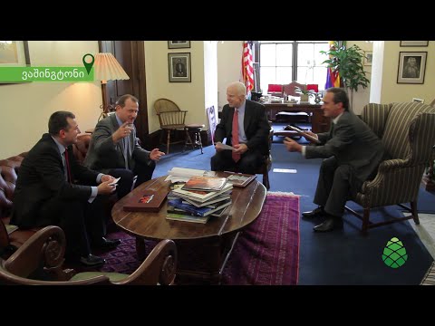 ზურა ჯაფარიძის შეხვედრა ჯონ მაკკეინთან