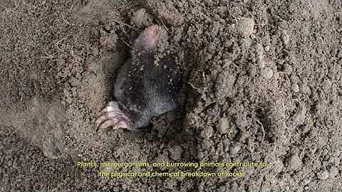 Weathering and Mass Wasting Explained