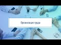 Организация труда. Презентация дисциплины